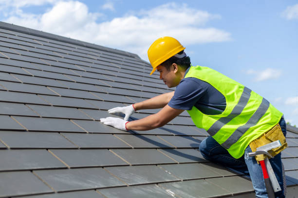 Best Roof Gutter Cleaning  in Hansville, WA