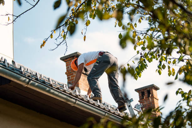 Best Flat Roof Repair Services  in Hansville, WA