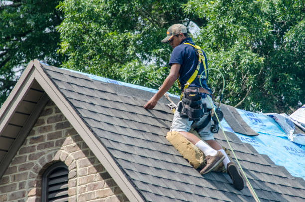 Best Roof Repair Services  in Hansville, WA